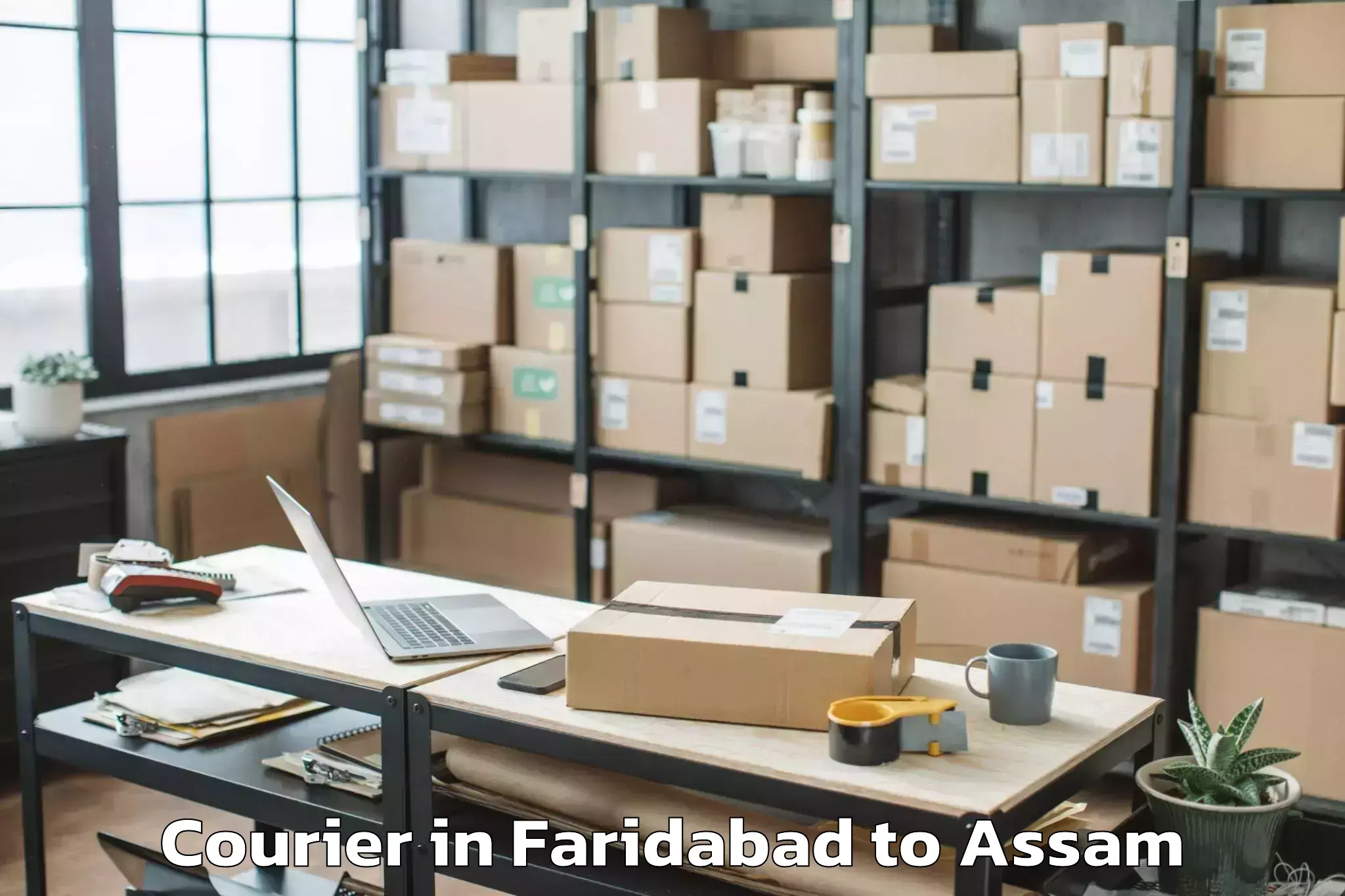 Trusted Faridabad to Lumding Courier